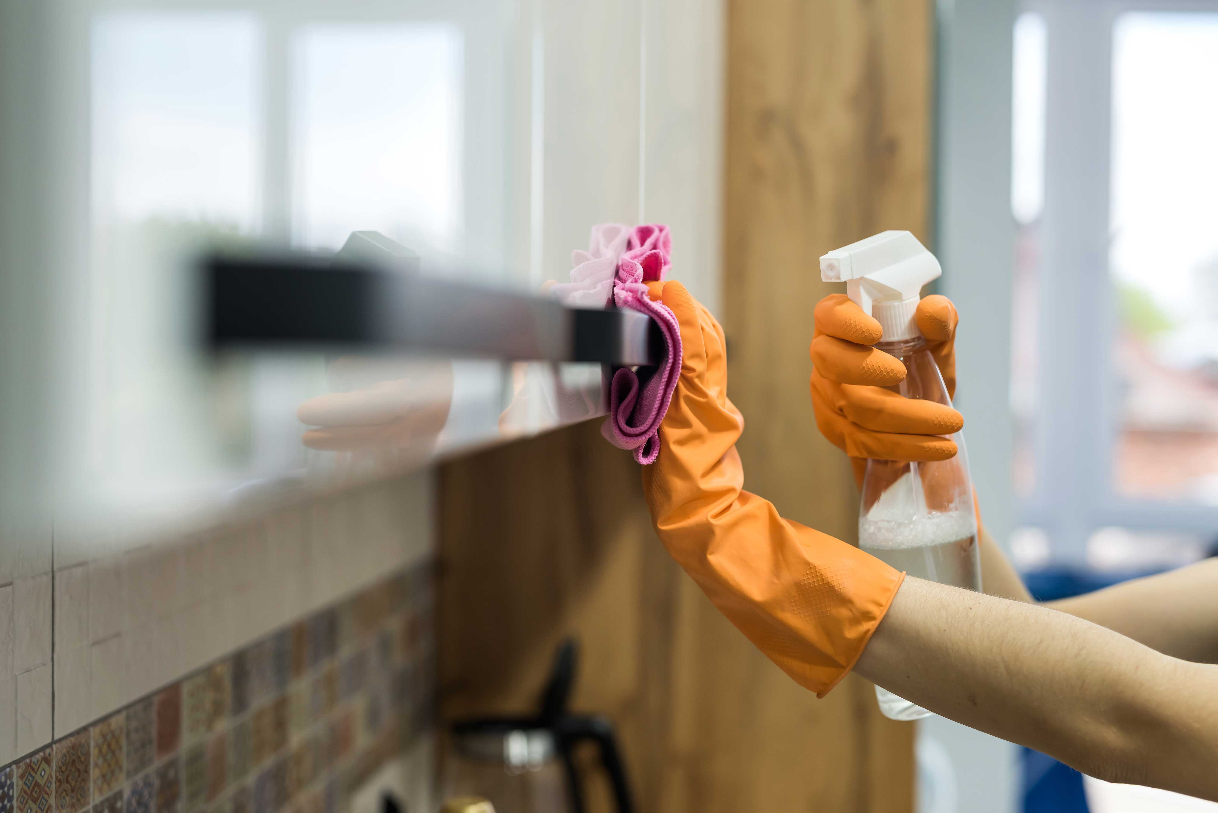 House Sitting & Light Home Care