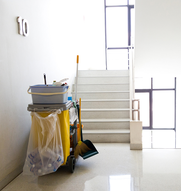 Apartment Cleaning