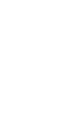 Step